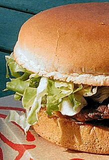 artikel/burger_gr.jpg