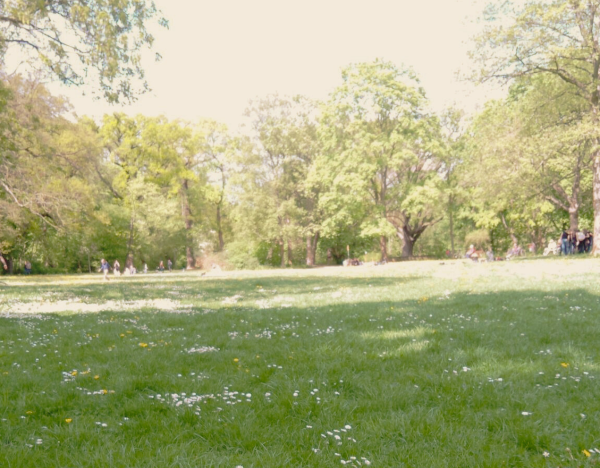 artikel/2024 04 23 park_600.png