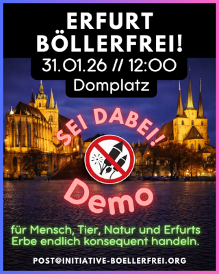artikel/Boellerfrei_Demo_500.png