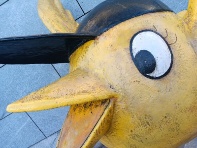 artikel/Goldener Spatz_400.jpg