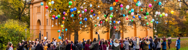 artikel/LAP /luftballon- SOR_artikel.jpg