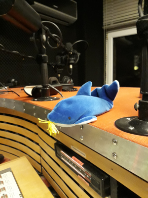 artikel/Musikchallenge/Delfin.jpg