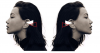 artikel/240438ear.png
